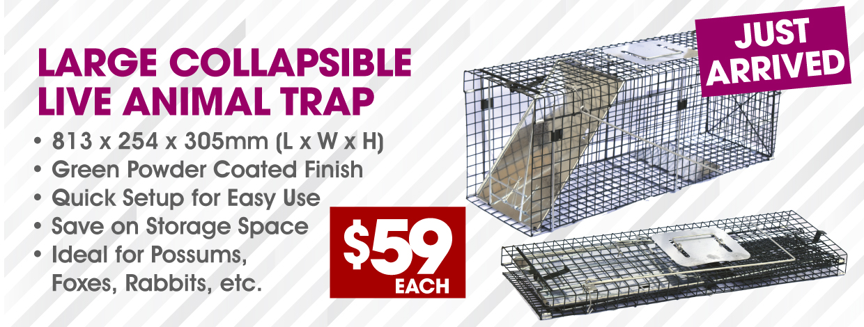 New Animal Trap