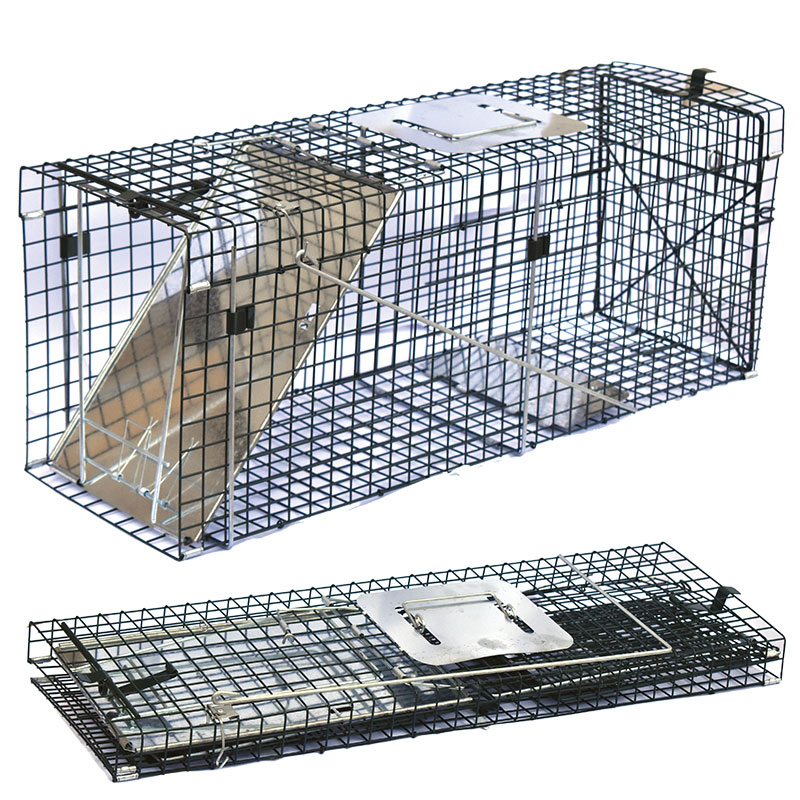 LARGE COLLAPSIBLE LIVE ANIMAL TRAP - Paramount Browns', Adelaide